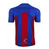 Officiële Voetbalshirt Crystal Palace Thuis 2020-21 - Heren